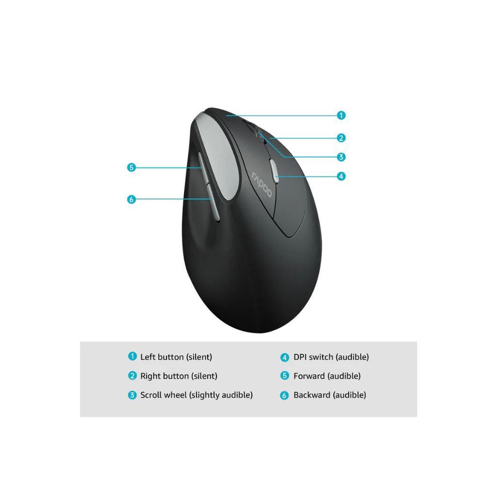 TJM Rapoo EV250 Vertical Ergonomic Wireless Mouse - Black