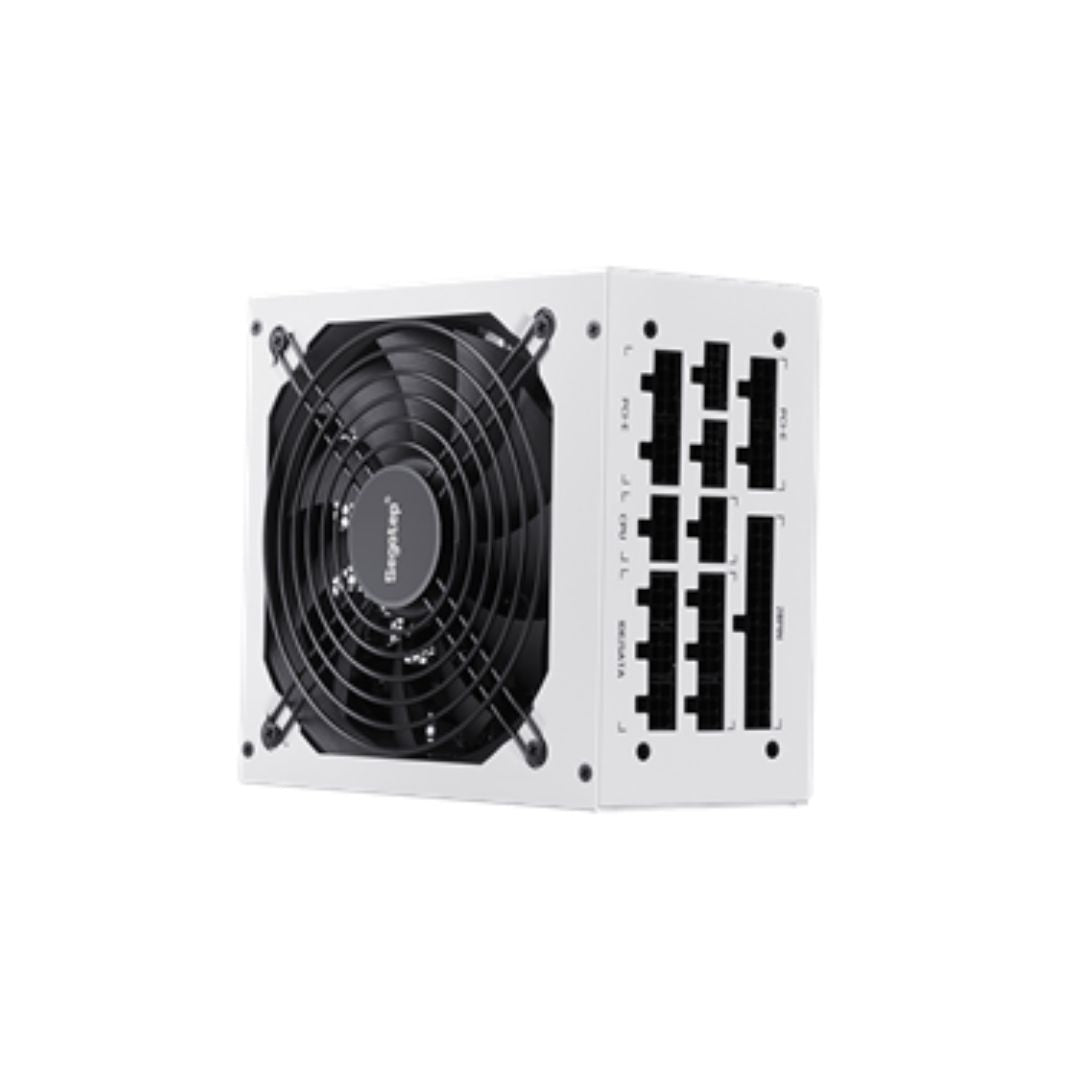 TJM Segotep GM1000W 1000W Gold 80+ Full Modular, PCIe 5.1 & ATX 3.1 - White