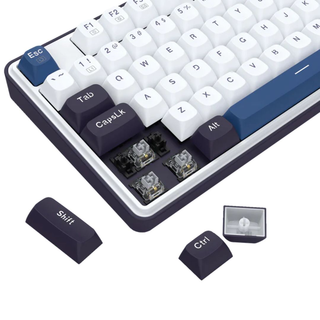 TJM Redragon Wyvern K689WBB Mechanical Keyboard - Panda