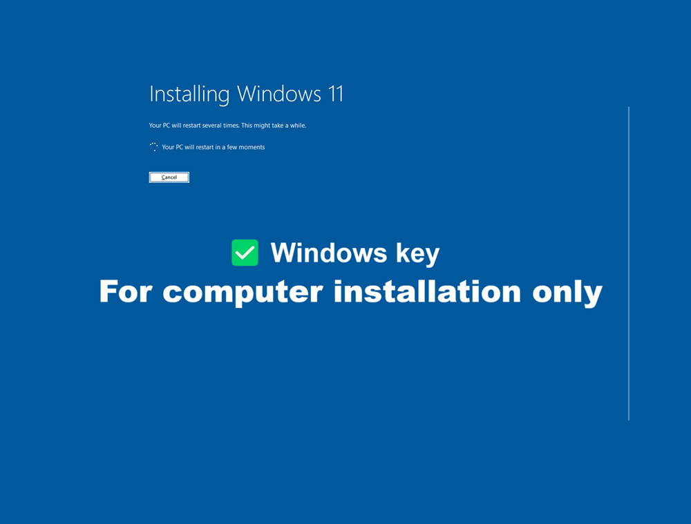TJM Windows 11 Pro Original License Key (Win 11), With device Setup